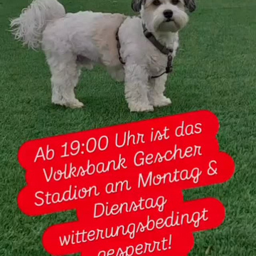 ***Info Ahauser Damm***